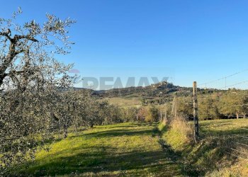 Vista delle montagne - Agricultural land Via Emirati Arabi Uniti
 
snc, Perugia - photo 11