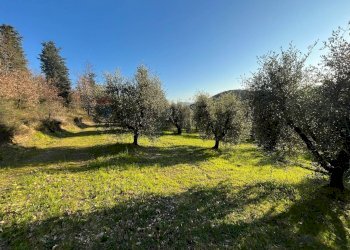 Giardino - Agricultural land Via Emirati Arabi Uniti
 
snc, Perugia - photo 12