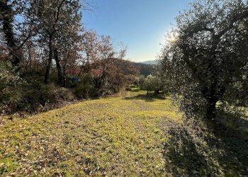 Giardino - Agricultural land Via Emirati Arabi Uniti
 
snc, Perugia - photo 15