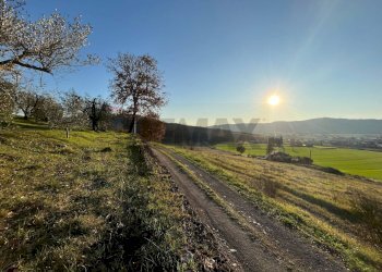Vista delle montagne - Agricultural land Via Emirati Arabi Uniti
 
snc, Perugia - photo 17