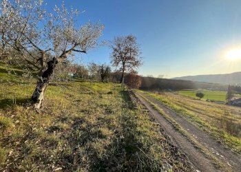 Giardino - Agricultural land Via Emirati Arabi Uniti
 
snc, Perugia - photo 22