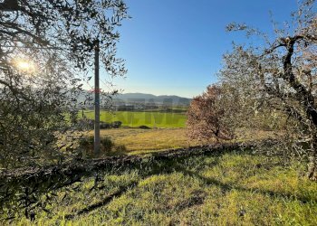 Vista delle montagne - Agricultural land Via Emirati Arabi Uniti
 
snc, Perugia - photo 24