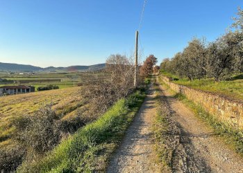 Vista delle montagne - Agricultural land Via Emirati Arabi Uniti
 
snc, Perugia - photo 25