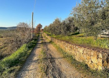 Giardino - Agricultural land Via Emirati Arabi Uniti
 
snc, Perugia - photo 26