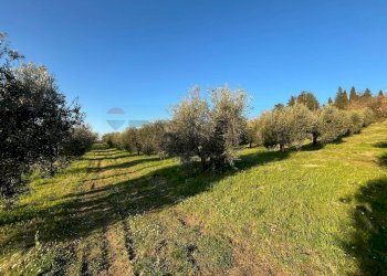 Giardino - Agricultural land Via Emirati Arabi Uniti
 
snc, Perugia - photo 27