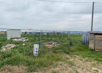 Giardino - Casa semi indipendente Strada Romano di Sotto - Teverella, Perugia - foto 6