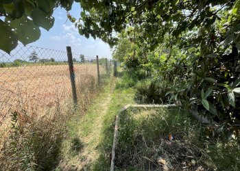 Giardino - Semi-detached house Via Lorenzo Carpinelli, Assisi - photo 22