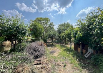 Giardino - Semi-detached house Via Lorenzo Carpinelli, Assisi - photo 23