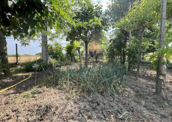 Giardino - Semi-detached house Via Lorenzo Carpinelli, Assisi - photo 24