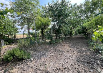 Giardino - Semi-detached house Via Lorenzo Carpinelli, Assisi - photo 25