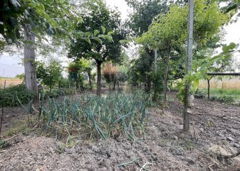 Giardino - Semi-detached house Via Lorenzo Carpinelli, Assisi - photo 26