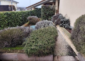 Giardino - Villa a Schiera Via Cardinal Amedeo delle Lanze
 
15, Montanaro - foto 41