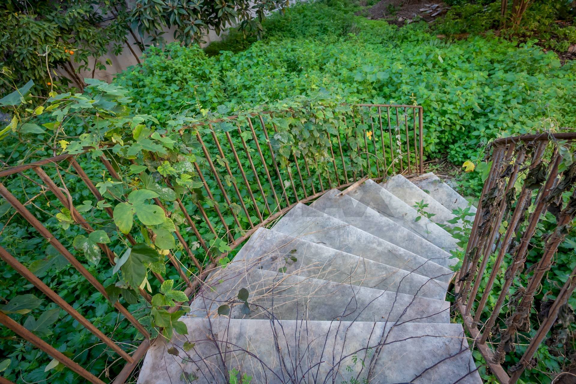 Giardino - Villa Via Firenze
 
17, Aci Castello - photo 3