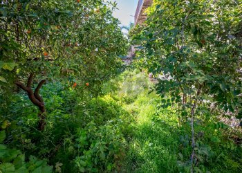 Giardino - Rustico Via Firenze
 
17, Aci Castello - foto 22