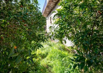 Giardino - Rustico Via Firenze
 
17, Aci Castello - foto 34