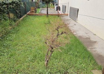 Foto 1 - Quadrilocale Via Guido Baccelli
 
10, Fano - foto 1