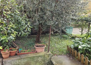 Foto 5 - Quadrilocale Via Guido Baccelli
 
10, Fano - foto 5