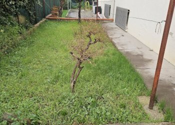 Foto 6 - Quadrilocale Via Guido Baccelli
 
10, Fano - foto 6