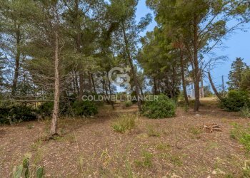 Foto 7 - Rustic Strada Provinciale 111, Veglie - photo 7