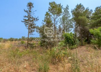 Foto 8 - Rustic Strada Provinciale 111, Veglie - photo 8