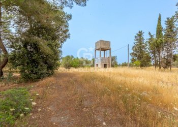 Foto 9 - Rustic Strada Provinciale 111, Veglie - photo 9