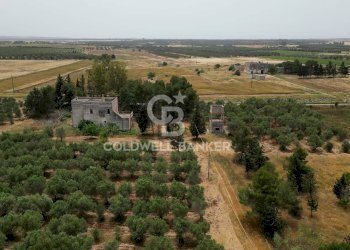 Foto 27 - Rustic Strada Provinciale 111, Veglie - photo 27