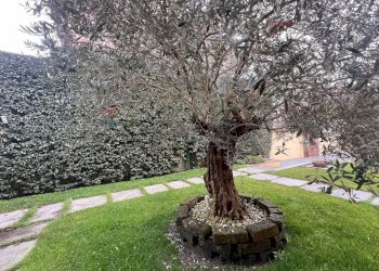 Giardino - Apartment via Borgoratto
 
11, Torrazza Piemonte - photo 51