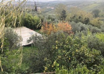 Vista delle montagne - Villa San Lorenzello - foto 41