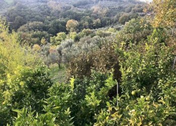 Vista delle montagne - Villa San Lorenzello - foto 42