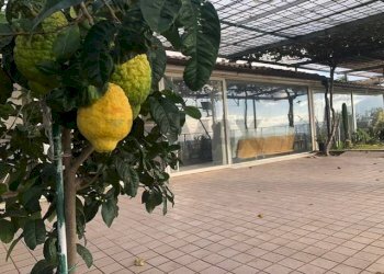 Terrazza - Villa San Lorenzello - foto 43