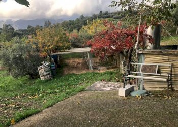 Giardino - Villa San Lorenzello - foto 47