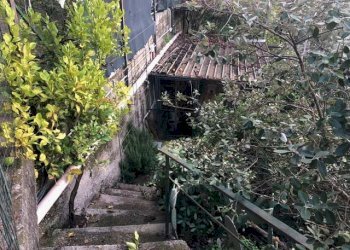 Giardino - Villa San Lorenzello - foto 55