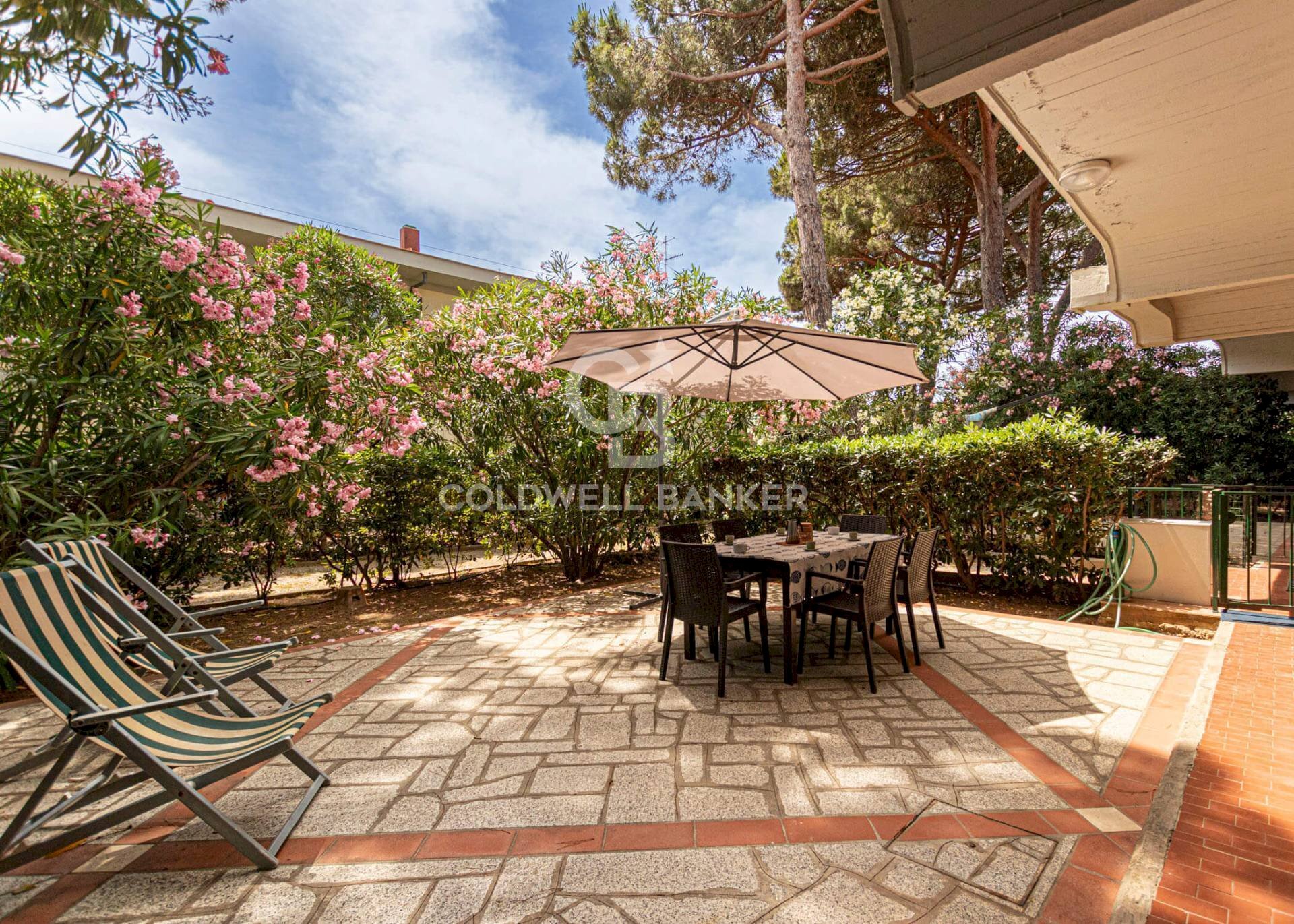 Foto 1 - Apartment Viale degli Etruschi, Campo nell'Elba - photo 1