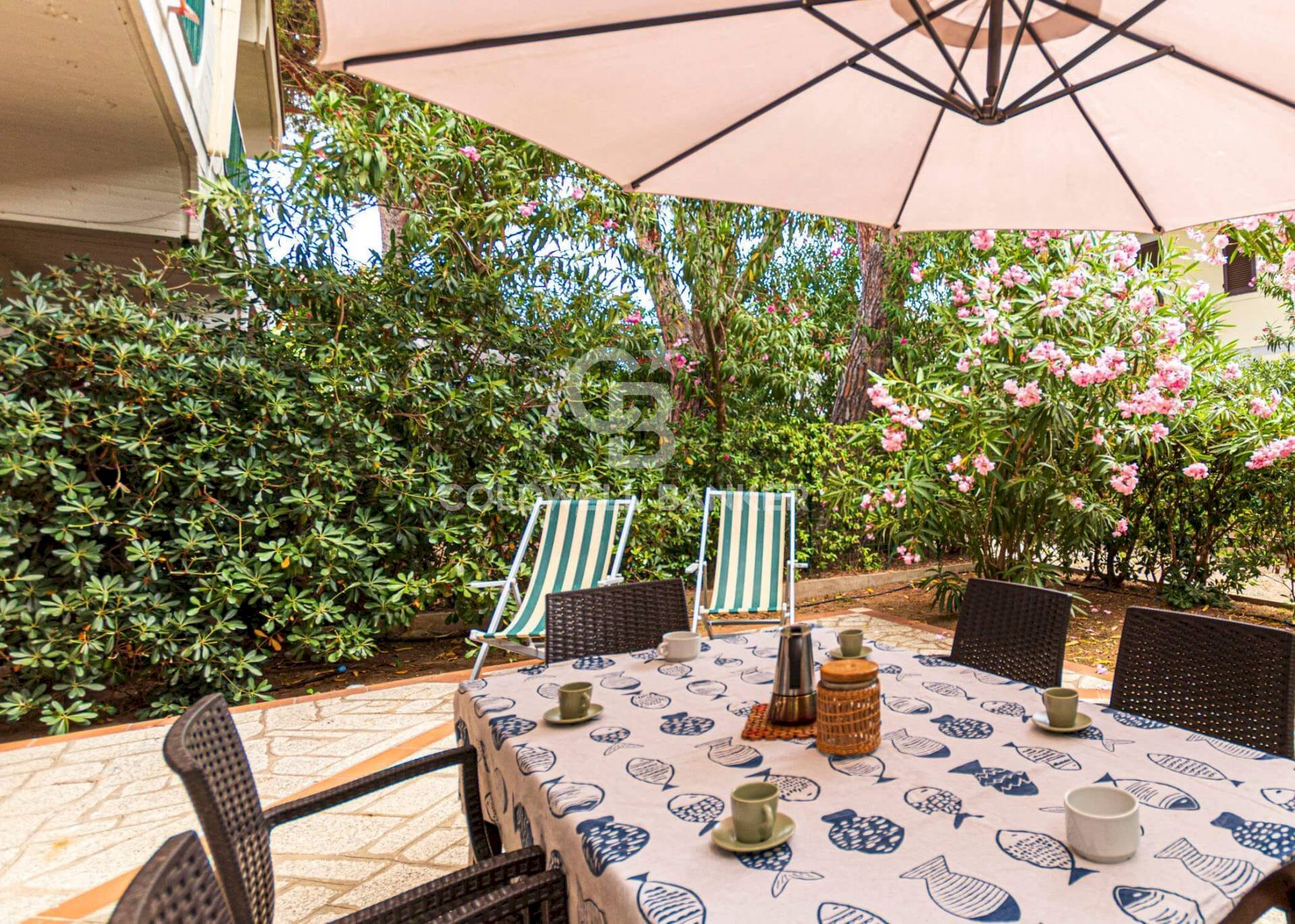 Foto 3 - Apartment Viale degli Etruschi, Campo nell'Elba - photo 3