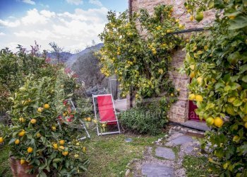 Foto 15 - Casa semi indipendente Camaiore - foto 15