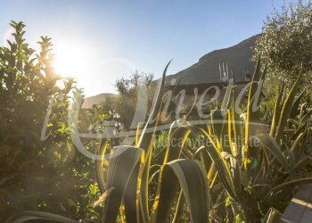 Foto 27 - Casa semi indipendente Camaiore - foto 27