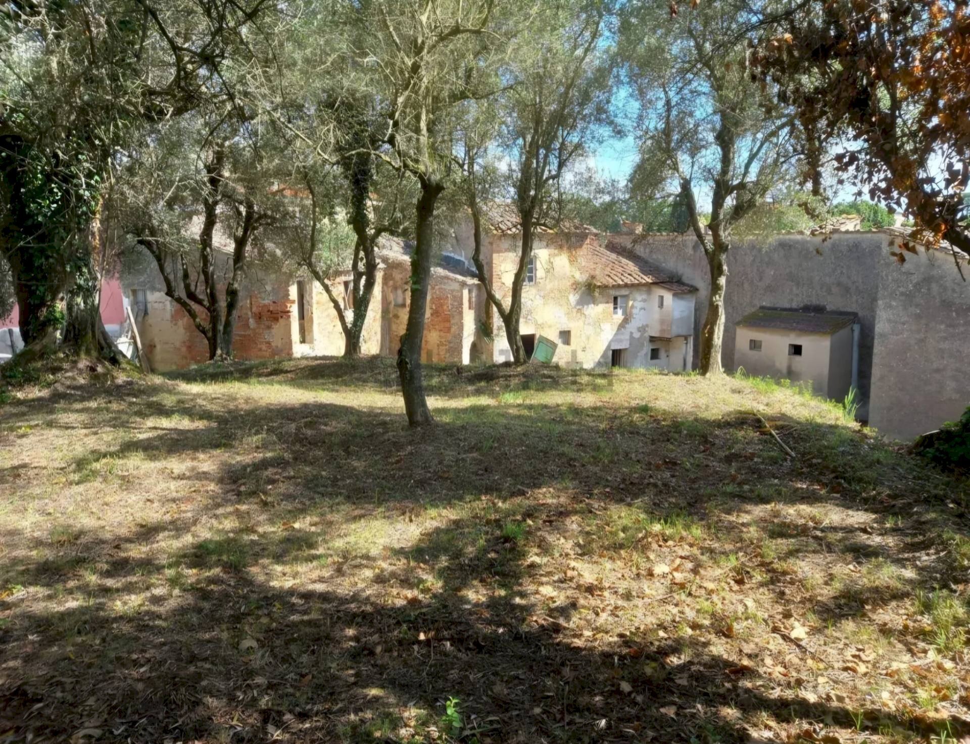 Foto 1 - Rustico via ottorino ott, Crespina Lorenzana - foto 1