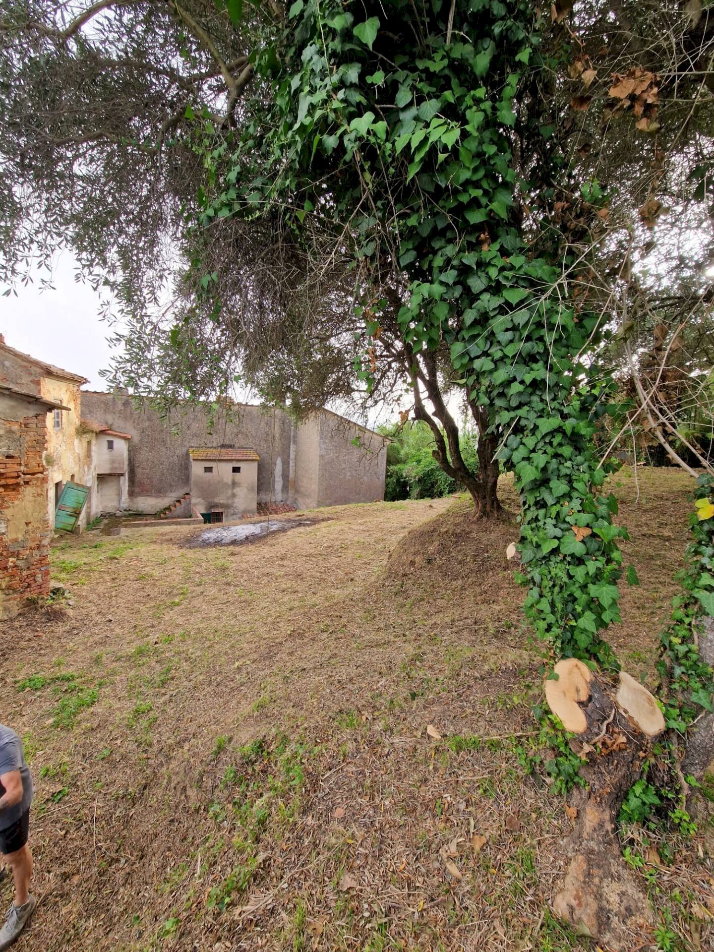 Foto 3 - Rustico via ottorino ott, Crespina Lorenzana - foto 3