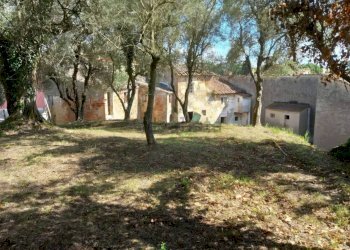 Foto 1 - Rustico via ottorino ott, Crespina Lorenzana - foto 1