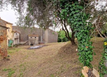 Foto 3 - Rustico via ottorino ott, Crespina Lorenzana - foto 3