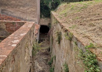 Foto 4 - Rustico via ottorino ott, Crespina Lorenzana - foto 4