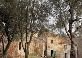 Foto 6 - Rustico via ottorino ott, Crespina Lorenzana - foto 6