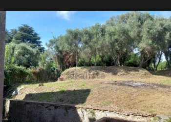 Foto 18 - Rustico via ottorino ott, Crespina Lorenzana - foto 18