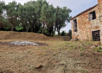 Foto 20 - Rustico via ottorino ott, Crespina Lorenzana - foto 20