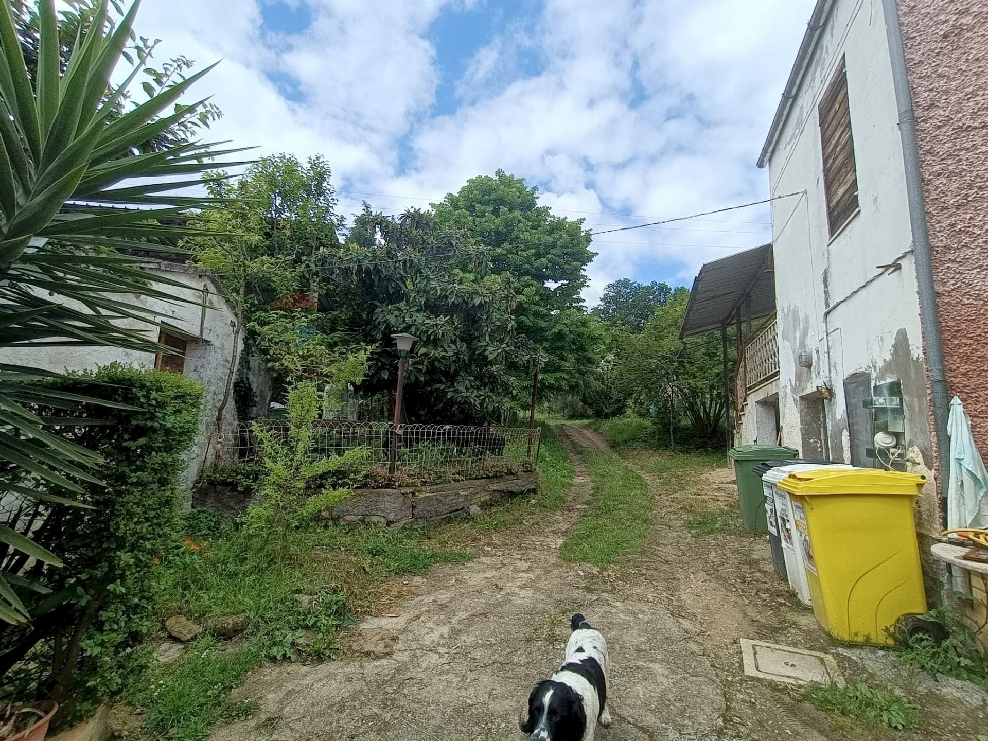 Giardino - Semi-detached house Penne - photo 3