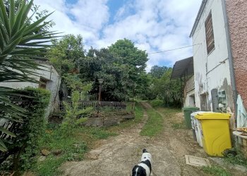 Giardino - Casa semi indipendente Penne - foto 3