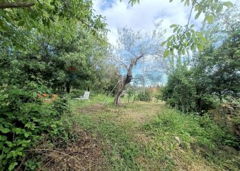 Giardino - Casa semi indipendente Penne - foto 31