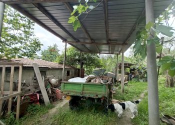 Giardino - Casa semi indipendente Penne - foto 35