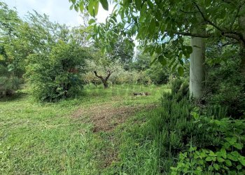 Giardino - Casa semi indipendente Penne - foto 50