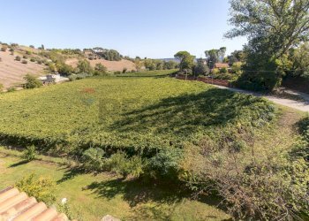 Giardino - Villa Pianella - foto 45